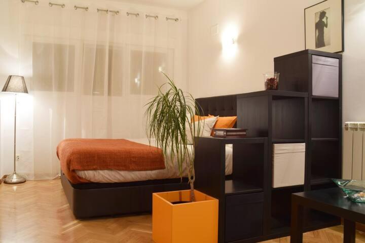 Estudio Acogedor Y Luminoso Apartment Madrid Exterior photo